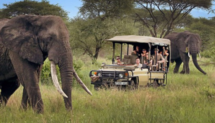 Travel tips from rehoboth safaris.
