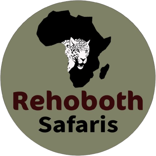 rehoboth safaris
