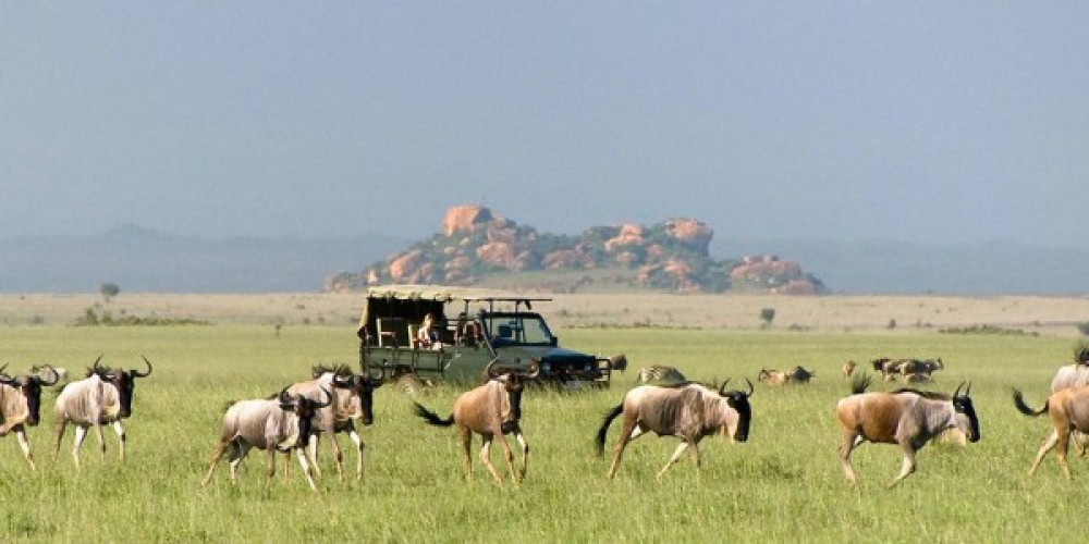 Serengeti National Park