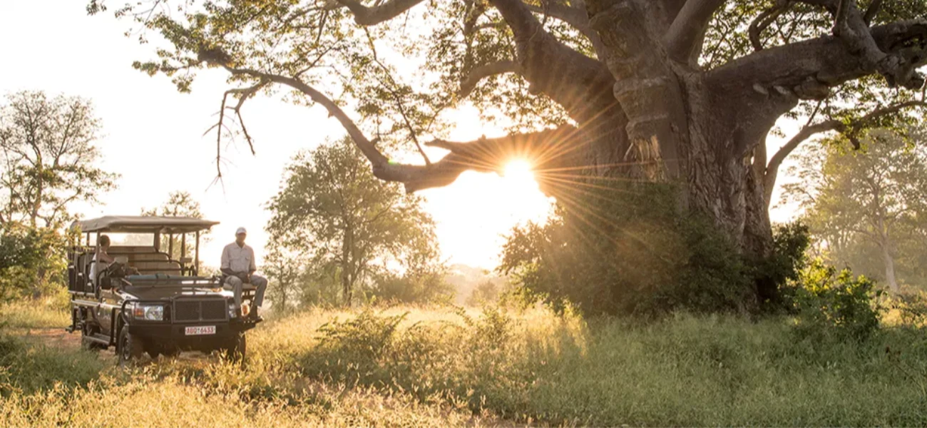 Experience the Great Migration