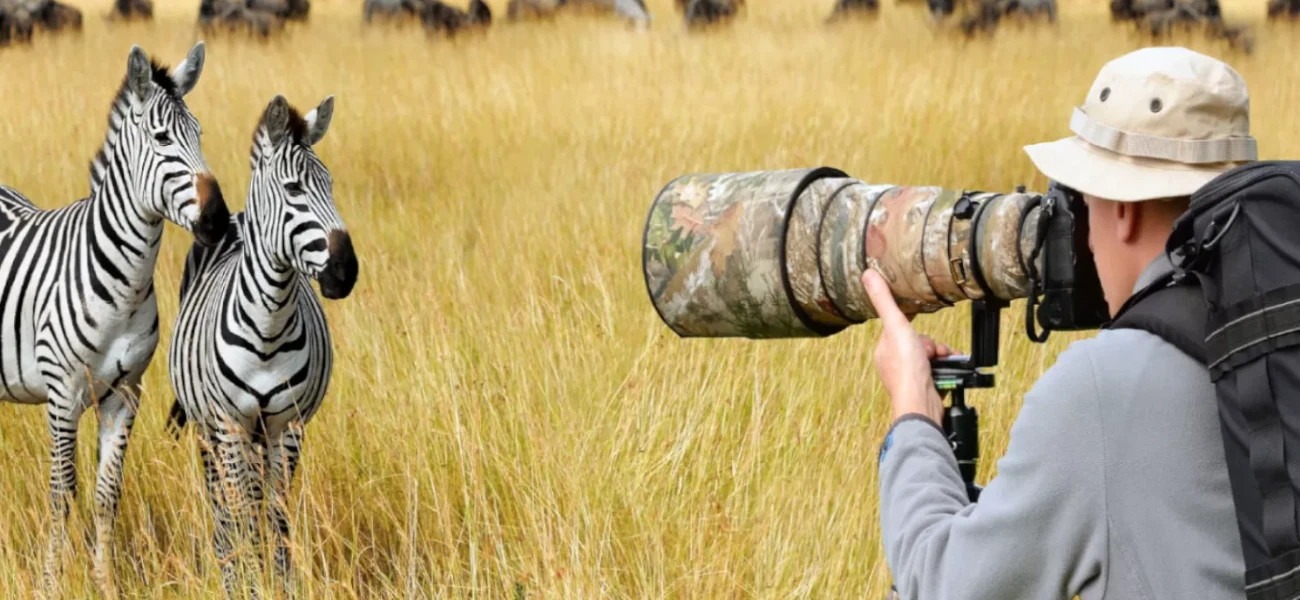 Discover the Wild Beauty of Tanzania