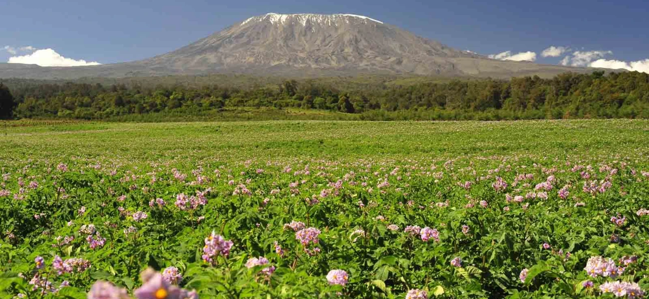 Conquer Mount Kilimanjaro